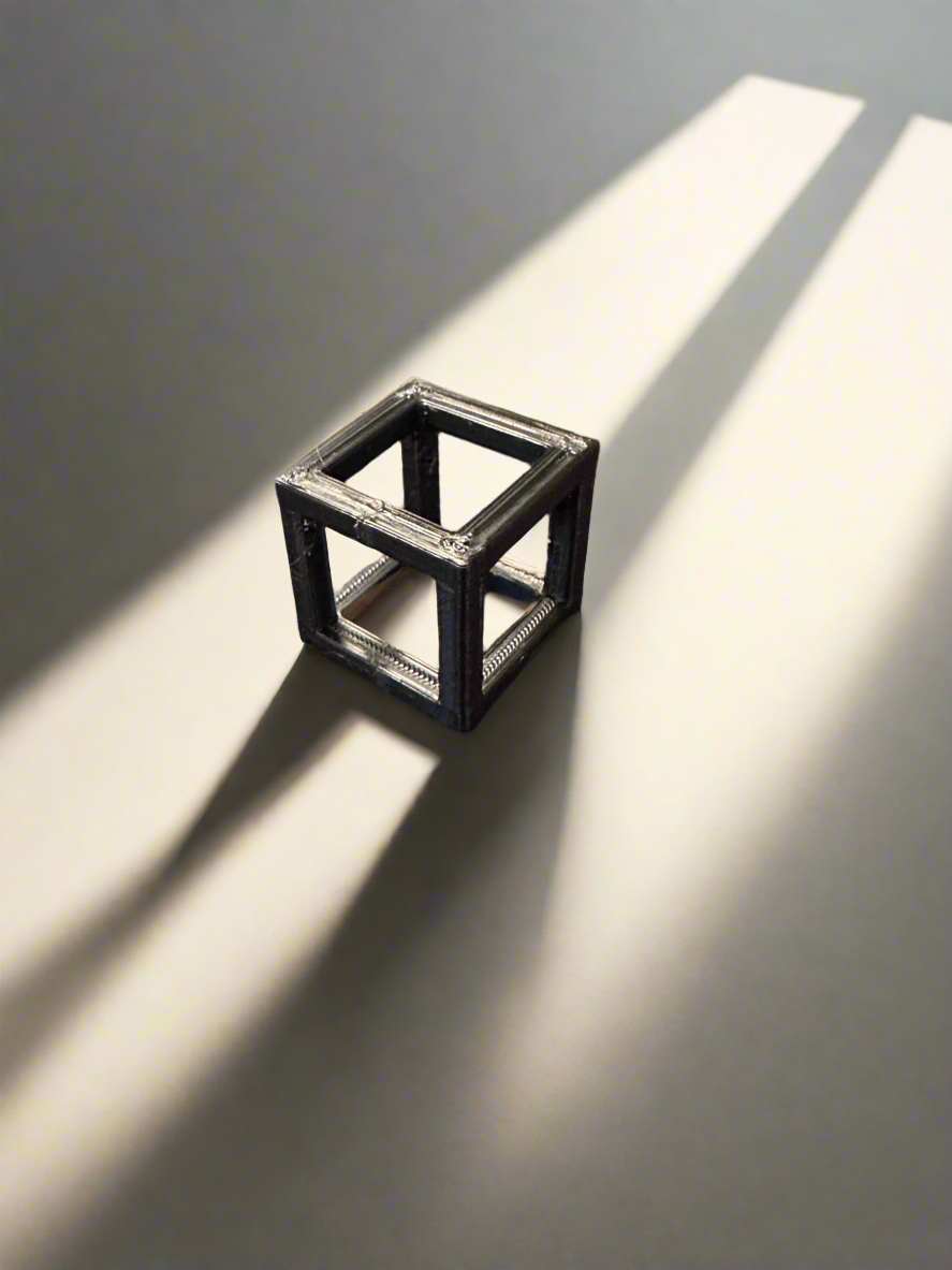Tinker Tank Designs Shrimp Cube