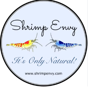 Shrimp Envy