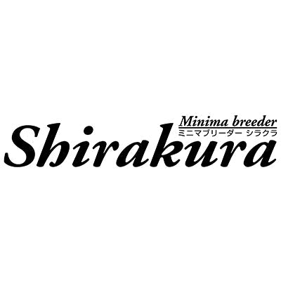 Shirakura