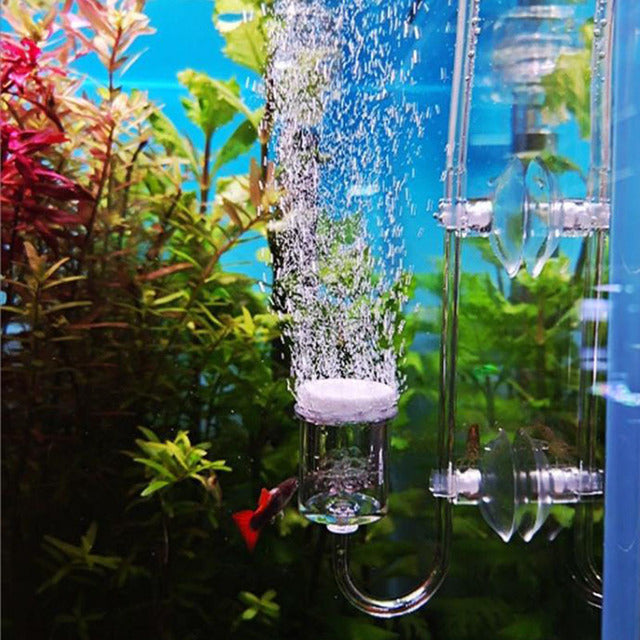 Bubble Flow Aquatics Air Diffuser