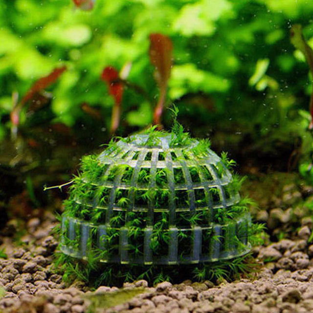 Bubble Flow Aquatics Moss Cage