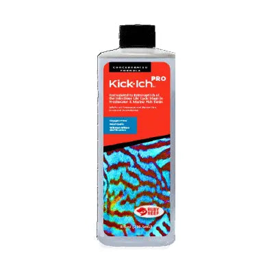 Ruby Reef Kick Ich Pro