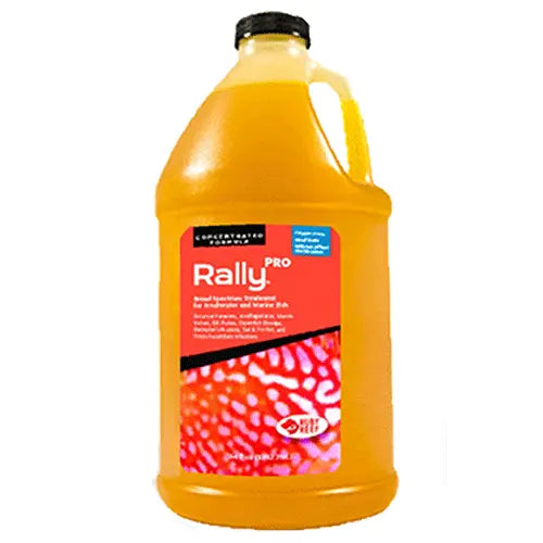 Ruby Reef Rally Pro